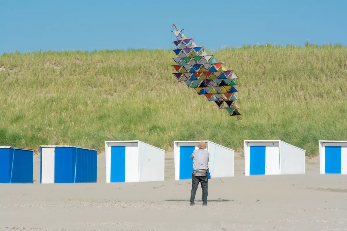 Best Beginner Kites Under £50: Diamond, Delta and Parafoil Compared